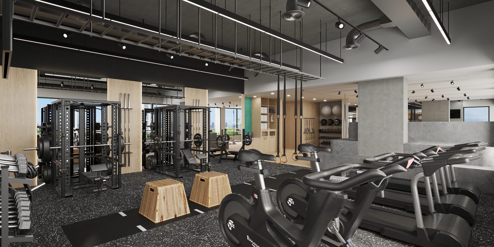 A19 Cincuentenario Gimnasio del proyecto